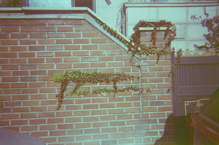 Audience photograph of a Piripong discovery in Seochon