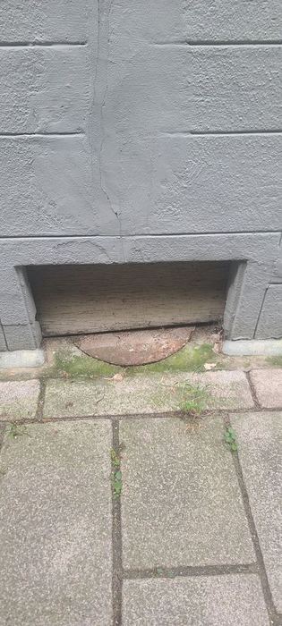 A small opening at the base of a wall